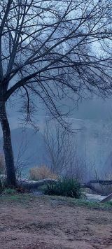 Pont et brouillard M. Basso.jpg